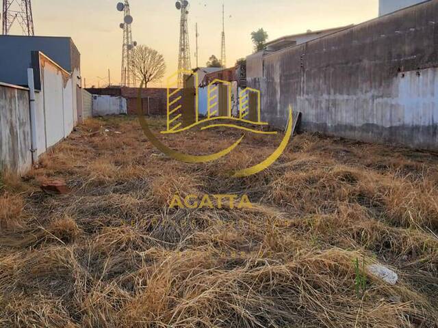 Terreno para Venda em Araraquara - 3