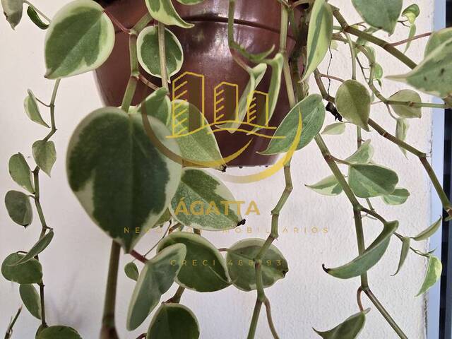 #96 - Casa para Venda em Araraquara - SP