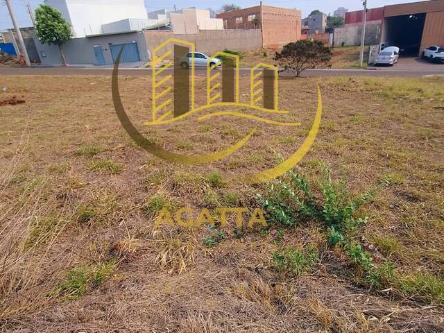 #216 - Área para Venda em Araraquara - SP - 1