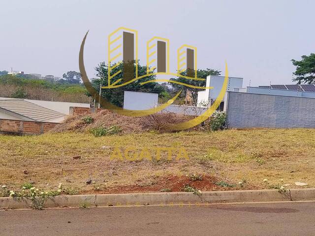 #216 - Área para Venda em Araraquara - SP - 3