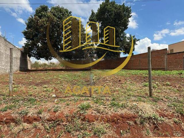 #377 - Terreno para Venda em Araraquara - SP - 1