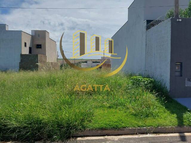 Terreno para Venda em Araraquara - 4