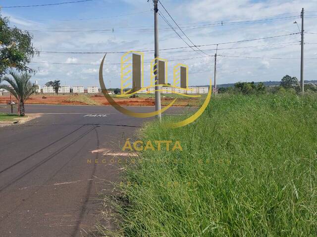 #425 - Terreno para Venda em Araraquara - SP - 3